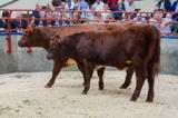 lot 55 sold for 3100 gns (2)
